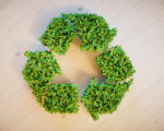Евгений Галихайдаров: «Утилизация и рециклинг — это перспективный бизнес»